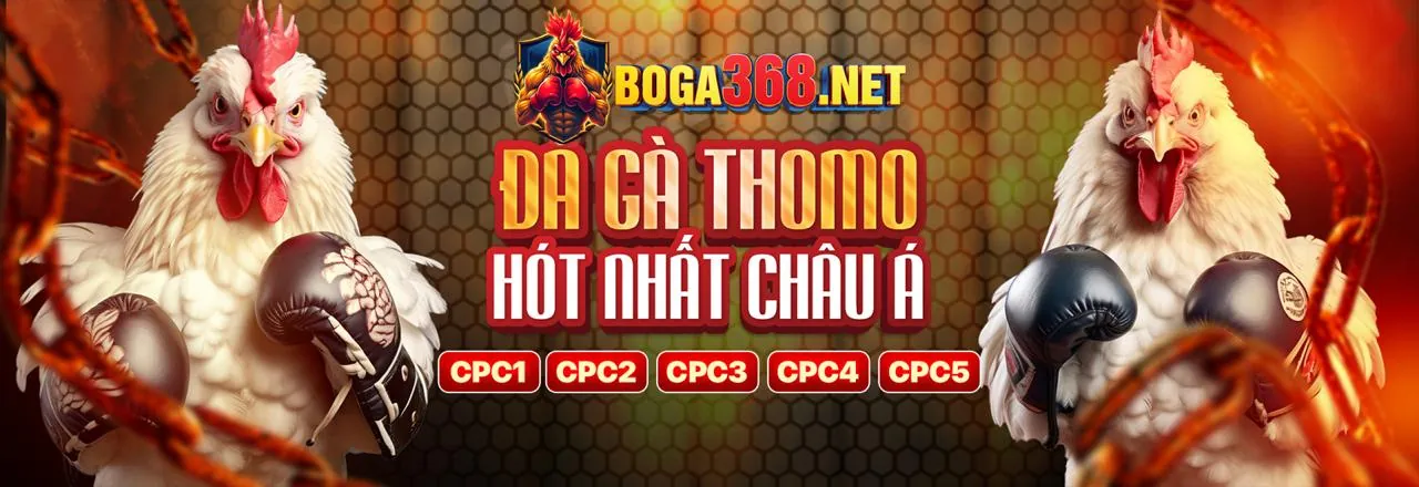 Tài Xỉu bwin: Trò Chơi Xúc Xắc Đỉnh Cao và Hấp Dẫn