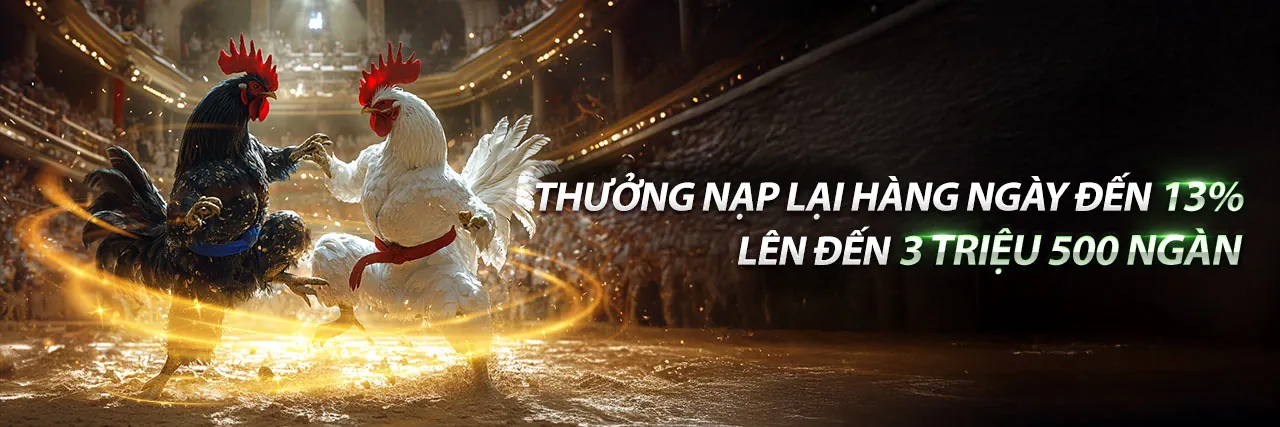 Sân đấu đá gà trực tuyến bwin